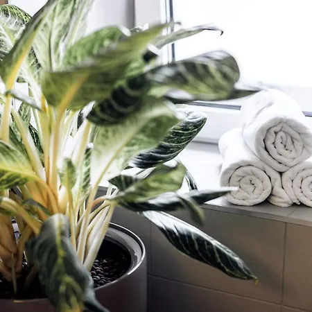 Goldi Superior דירה Stahovica