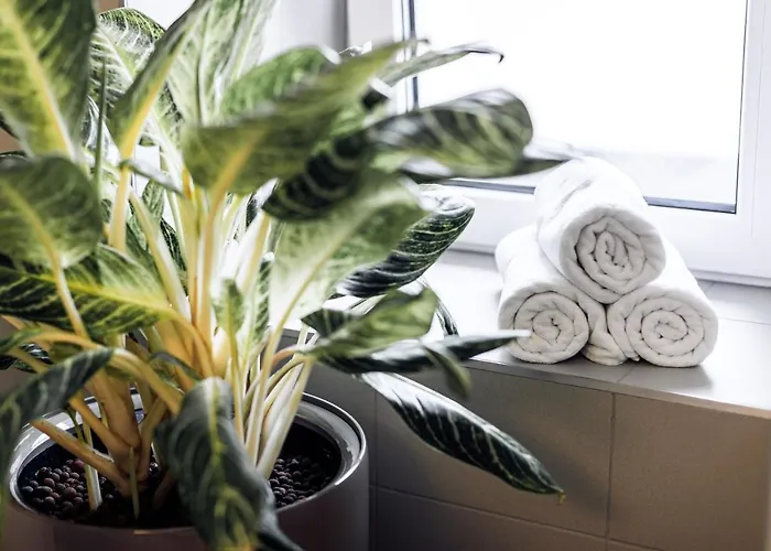 Goldi Superior 公寓 Stahovica